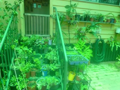 59 Hope Street, Cooktown