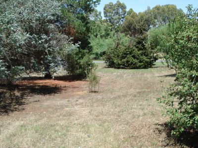 Lot 1  Reef Street , Wedderburn