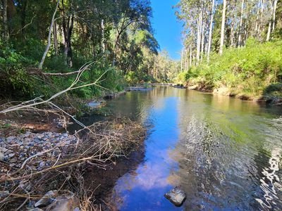 427 Shaws Road, Hollisdale