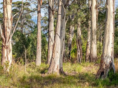 101 Scarrs Road, Garden Island Creek