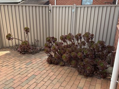 Unit 3 / 114 Tarcombe Road, Seymour