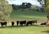 920 Lower Lewis Ponds Road, Orange