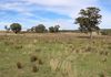 Lake Endeavour Road, Parkes