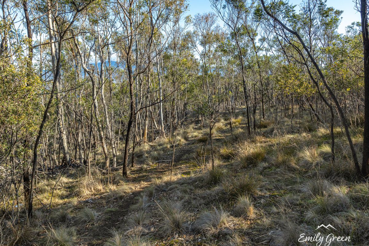 18 Florelyn Terrace, Geilston Bay