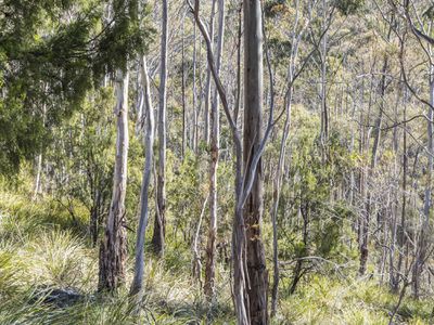 Lot 2 Pottery Road, Garden Island Creek