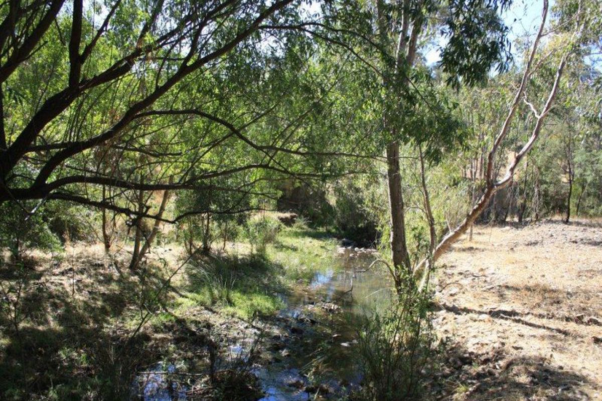 534 Dry Creek Road, Bonnie Doon