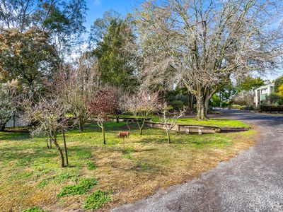 17  Turanga Road, Gisborne