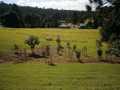 27 Firefly Drive, Bunya Mountains