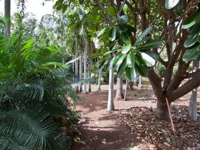 454 Crossing Falls Road, Kununurra
