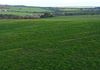 Back Valley