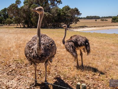 96 Rudgyard Place, Hay