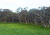 Back Valley