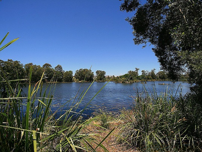 52 Northquarter Drive, Murrumba Downs