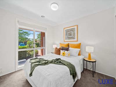 16 Clarendon Street, Amaroo