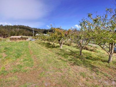 184 Golden Valley Road, Cygnet