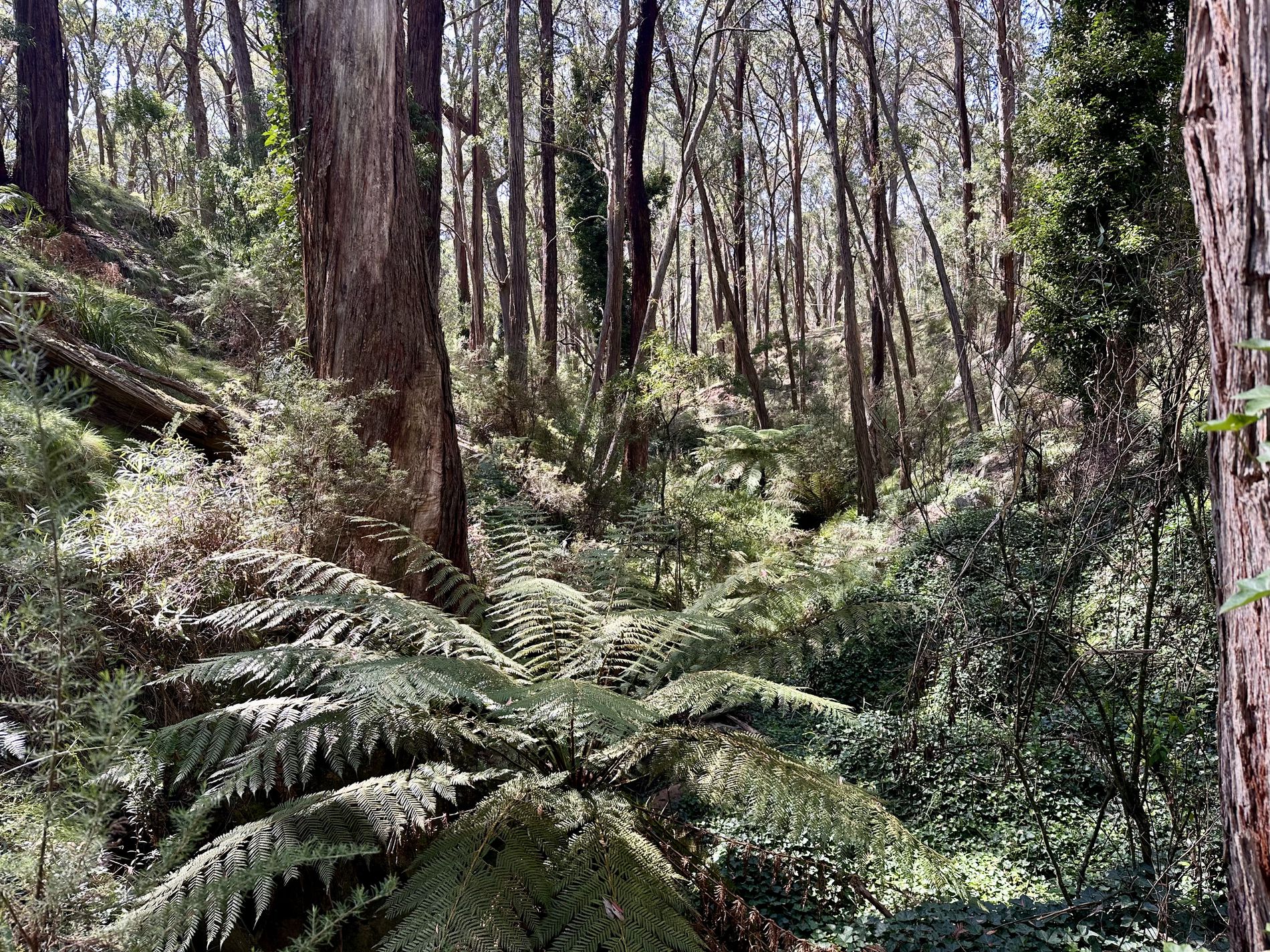 124 Gumms Road, Harolds Cross