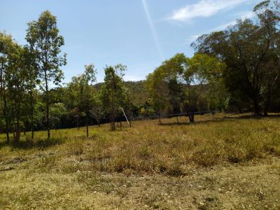 3146 Endeavour Valley Road, Cooktown