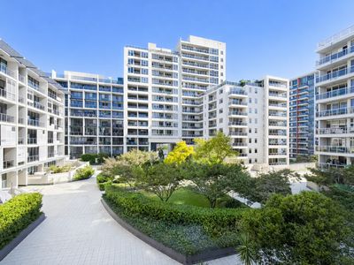 12 / 13 Potter St, Waterloo