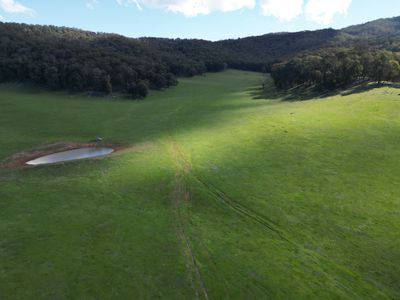 'Eastmore' 1177 Callaghan Creek Road, Mitta Mitta