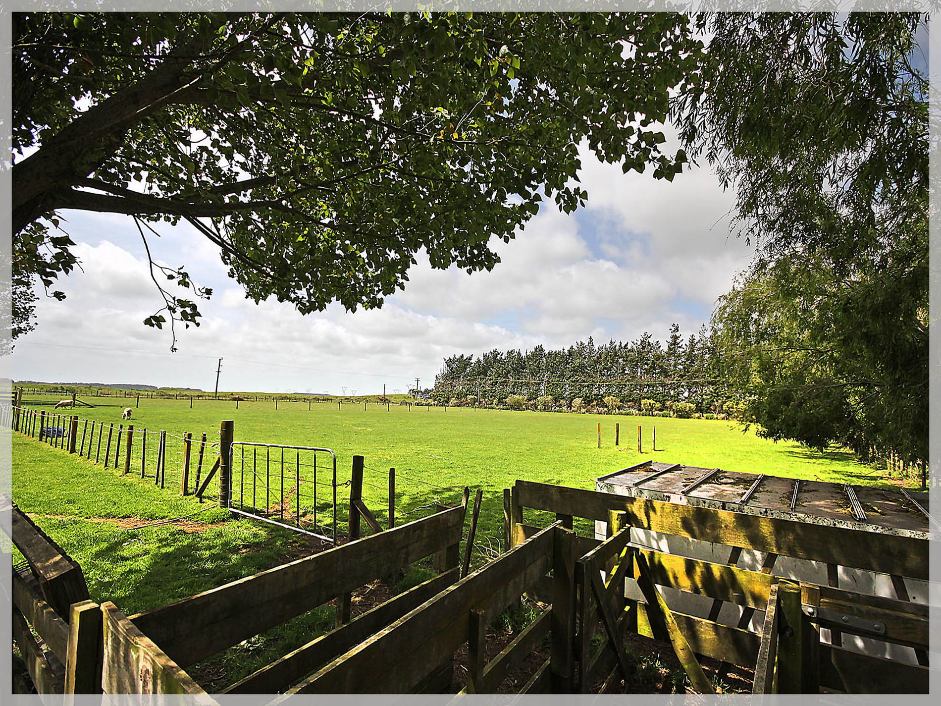 296 Motuiti Road, Foxton