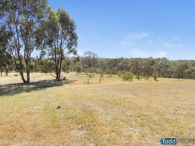 12 Warren Road, Heathcote