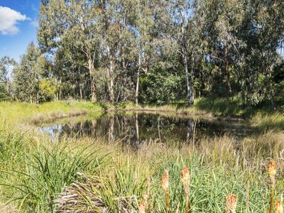 1074 Old Tolmie Road, Barwite