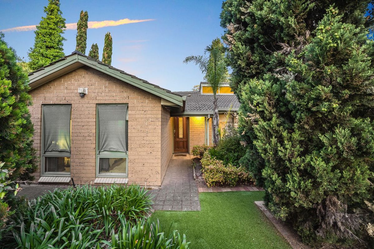 237 Hancock Road, Banksia Park