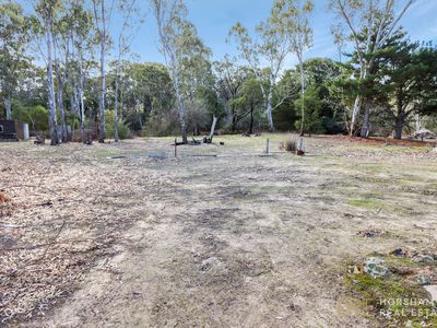 542 Roses Gap Road, Dadswells Bridge