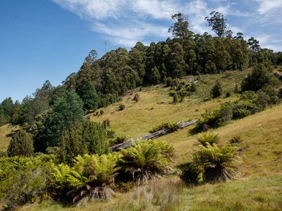 Lot 1, Dulcia Road, Gordon