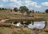 1257 Bundalah Road, Euchareena