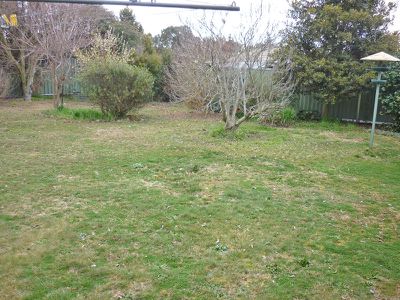4 Sturt Street, Blayney