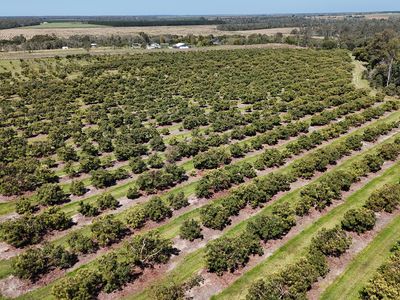 154 Foleys Road, North Gregory