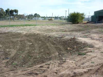 26  Kelsall , Warracknabeal