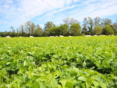 256 Hacks Ferry Road, Hacks Ferry