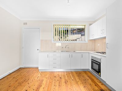 88 Barina Avenue, Lake Heights