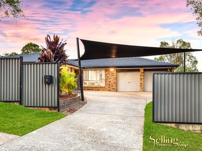 11 Monroe Court, Oxenford