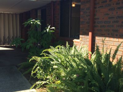 31a Birdwood Circus, Bicton