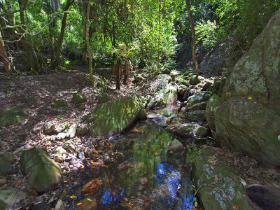 897 Upper Kangaroo River Road, Kangaroo Valley