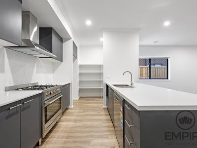 33 Bromeliad Street, Clyde North