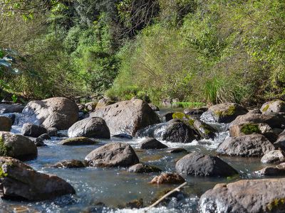 1242 Tuntable Creek Road, Nimbin