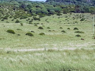 Bungaree Road, Bungaree