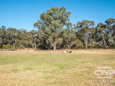 5368 Strathbogie Road, Emmaville