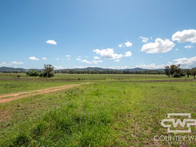 9699 Bruxner Highway, Bonshaw