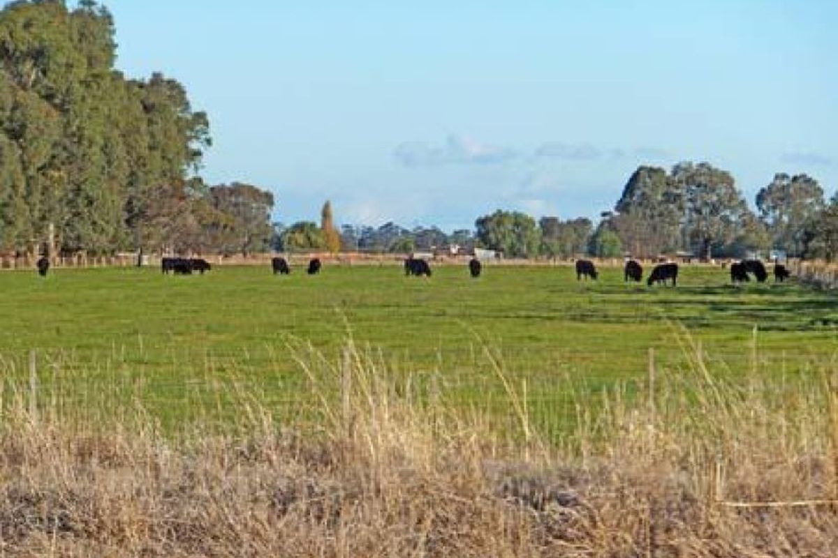 Trevaskis Road, Kyabram