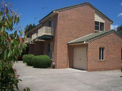 Blackbutt