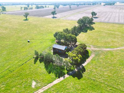 88 Barbers Road, Walla Walla