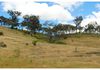 5553 Burrendong Way, Stuart Town