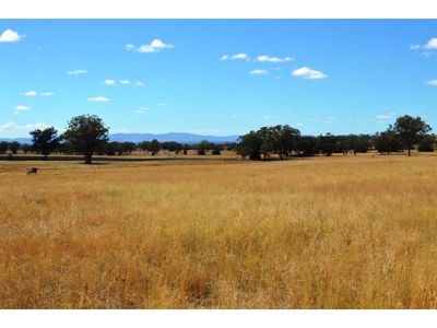 1172 Wandobah Road, Gunnedah