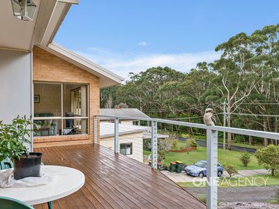 431 Elizabeth Drive, Vincentia