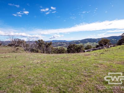 Lot 21 Halls Creek Road, Bendemeer